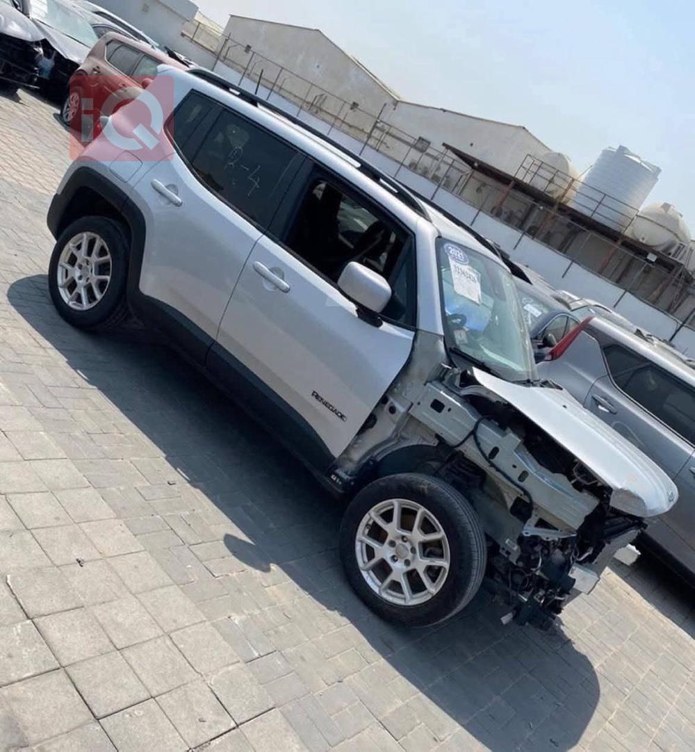 جيب رينيجيد